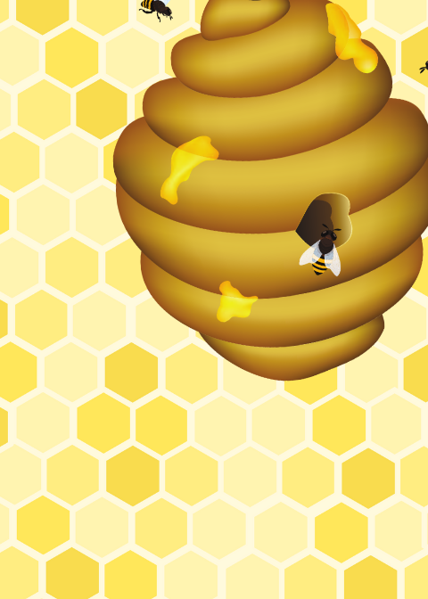 Our Busy bee