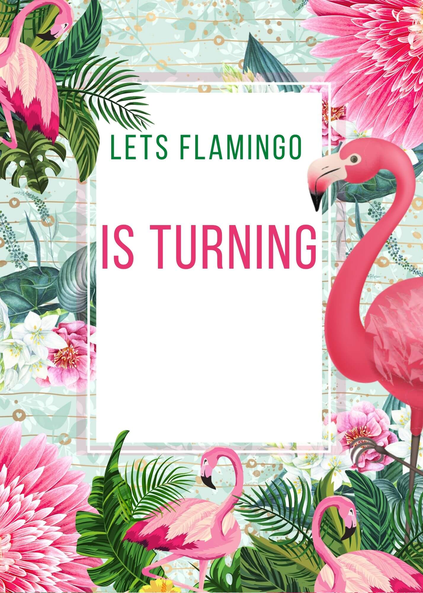 Lets Flamingo