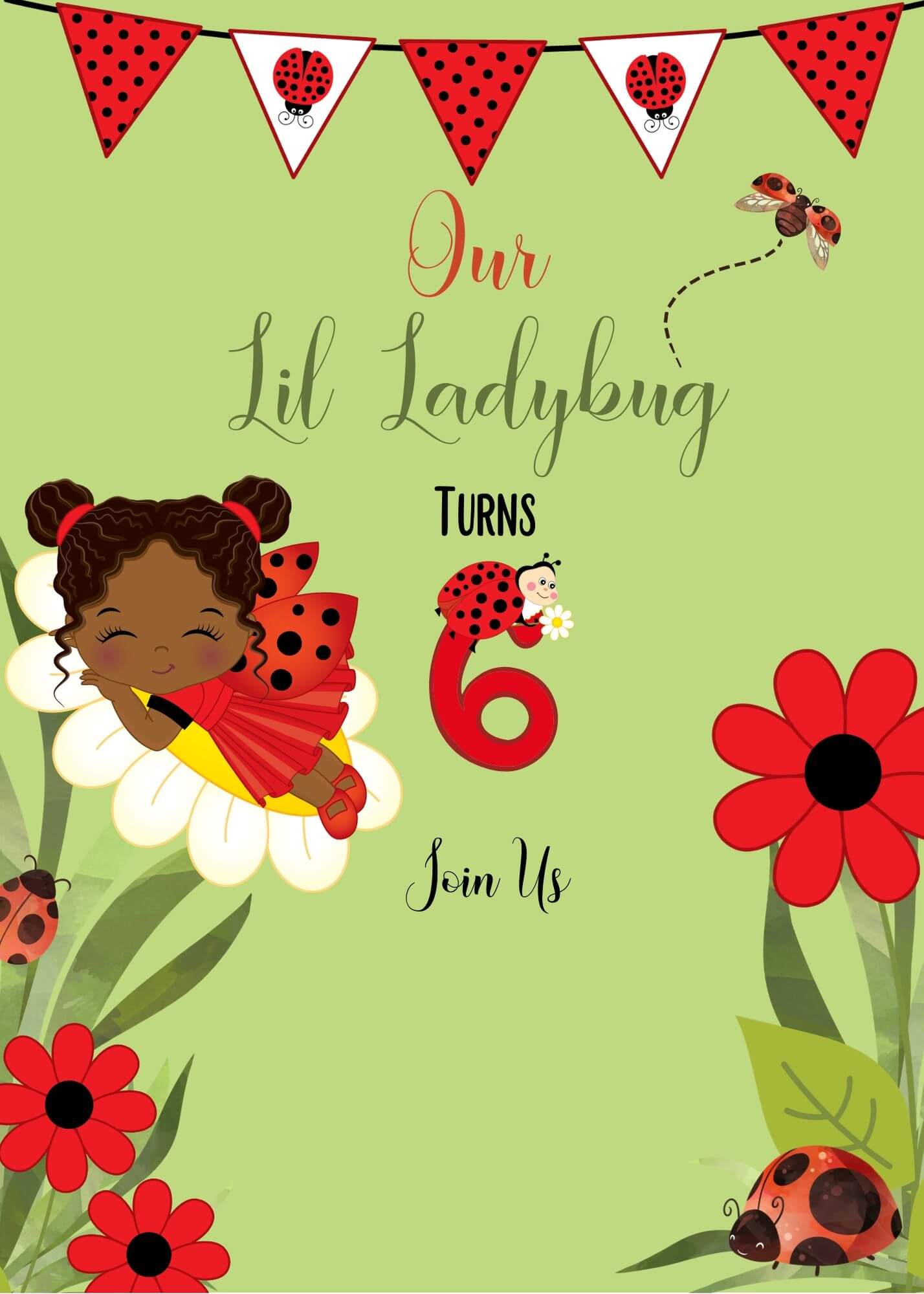 Lil Ladybug Birthday